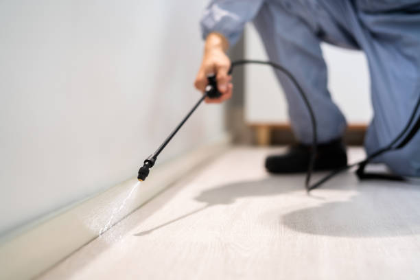 Licensed Rodent Control service in Montague, CA - Nex Pest Control