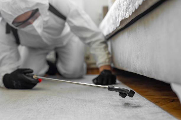 Professional Rodent Control technician working in Montague, CA