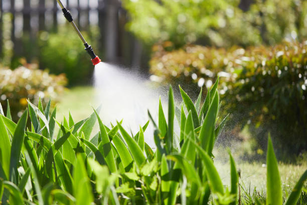24/7 Emergency Rodent Control experts in Montague, CA