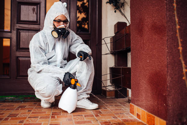 Reliable Rodent Control contractor in Montague, CA by Nex Pest Control